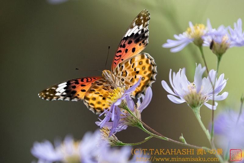 ../Images/7R240928 (277).jpg